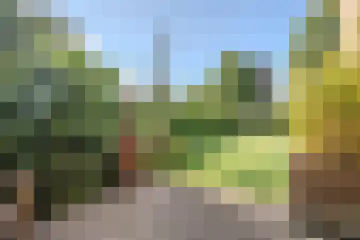 Botterkamp 6 Zuidwolde thumbnail 55