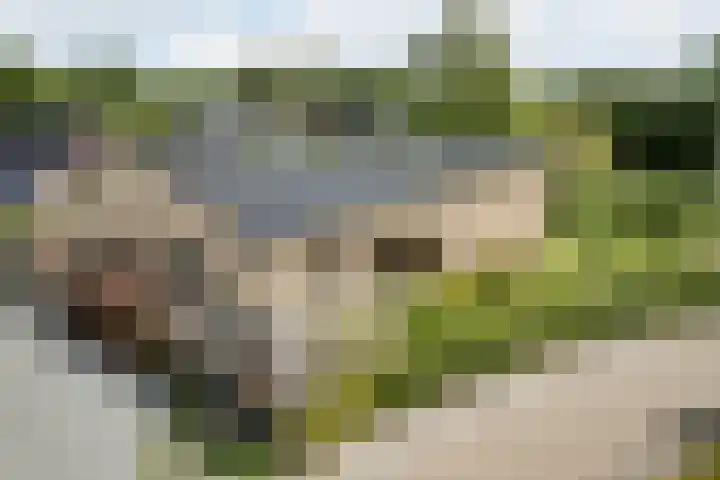 Botterkamp 6 Zuidwolde thumbnail 56
