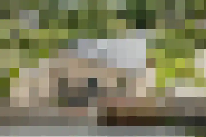 Botterkamp 6 Zuidwolde thumbnail 57