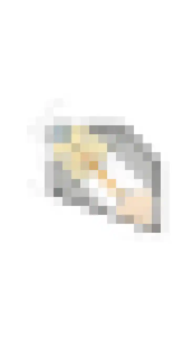 Botterkamp 6 Zuidwolde thumbnail 60