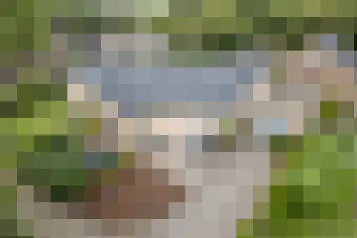 Botterkamp 6 Zuidwolde thumbnail 62