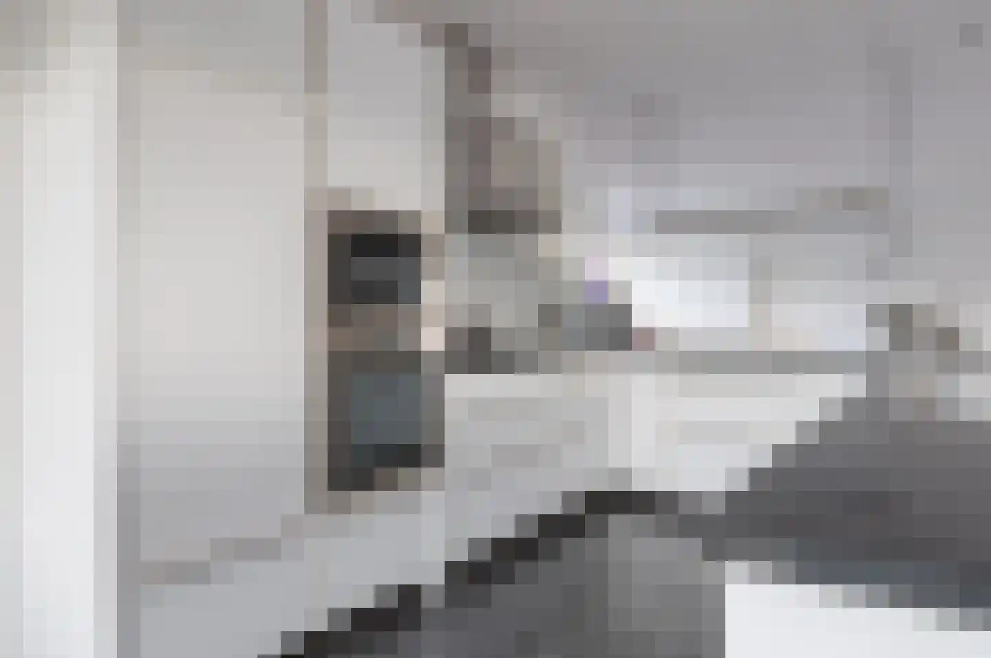 Botterlaan 1 Kortgene thumbnail 23