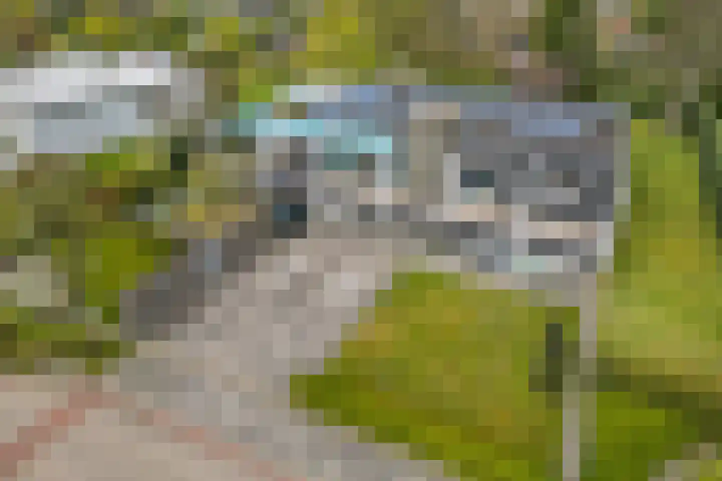 Botterlaan 1 Kortgene thumbnail 33