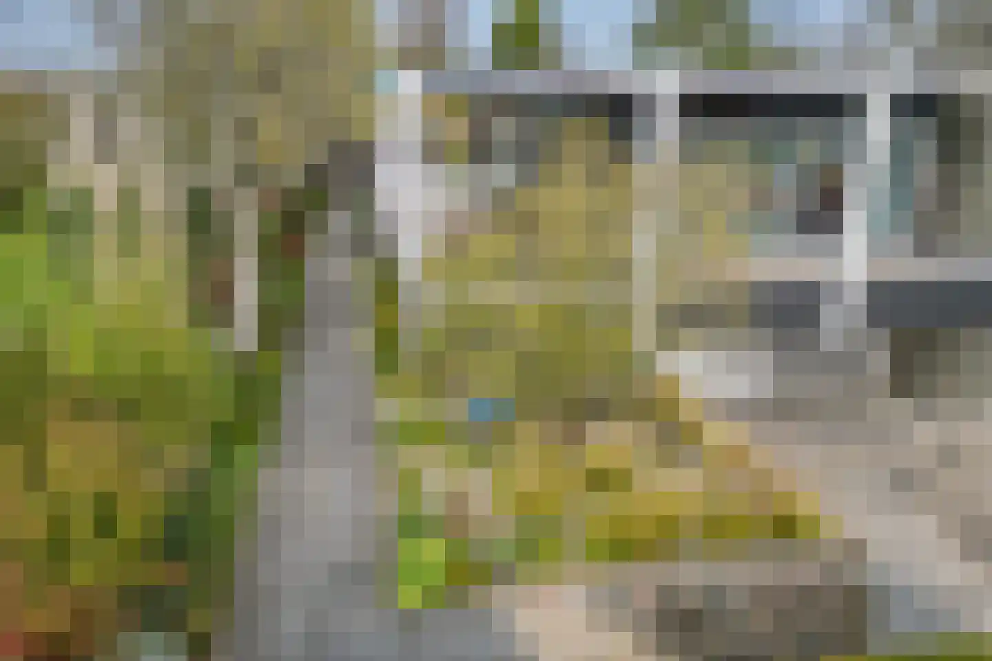 Botterlaan 1 Kortgene thumbnail 34