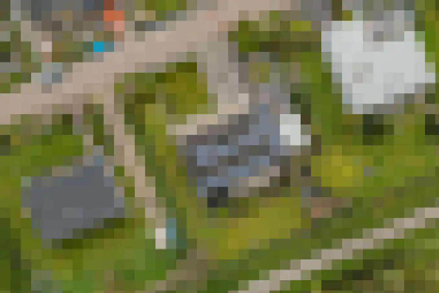 Botterlaan 1 Kortgene thumbnail 4
