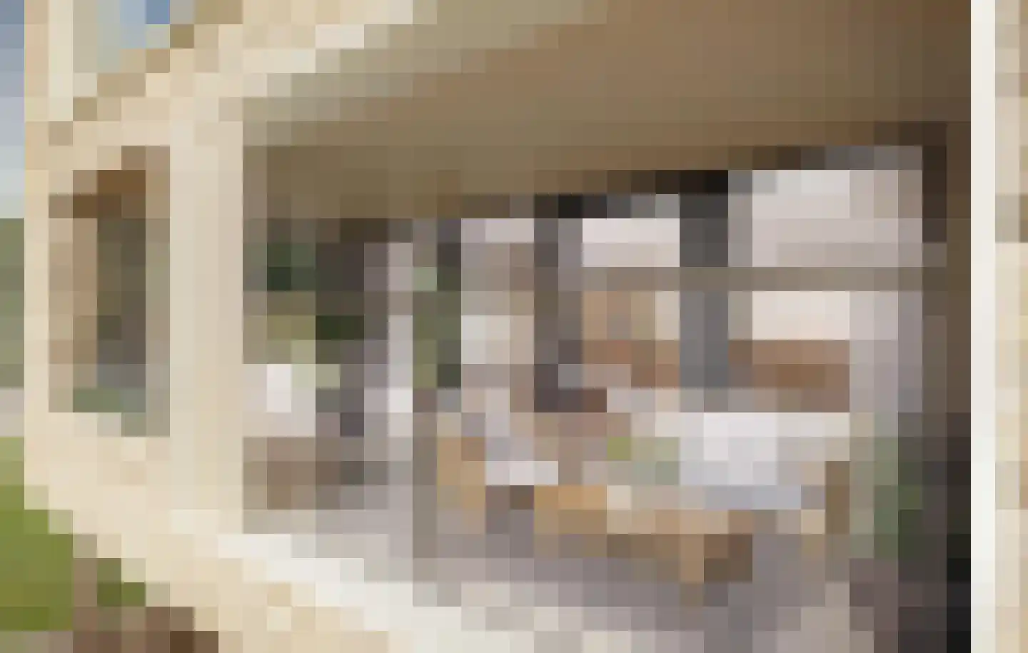 Botterlaan 1 Kortgene thumbnail 5