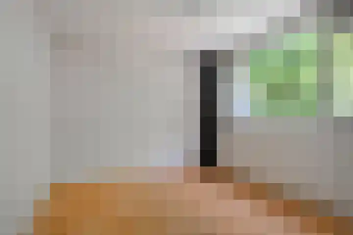 Botterlaan 12 Zaandam thumbnail 17