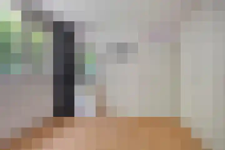 Botterlaan 12 Zaandam thumbnail 18