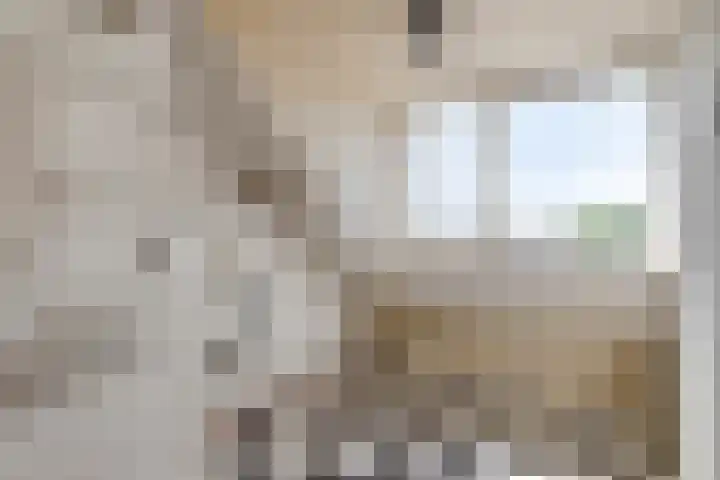 Botterlaan 12 Zaandam thumbnail 25