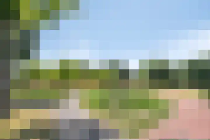 Botterlaan 12 Zaandam thumbnail 34
