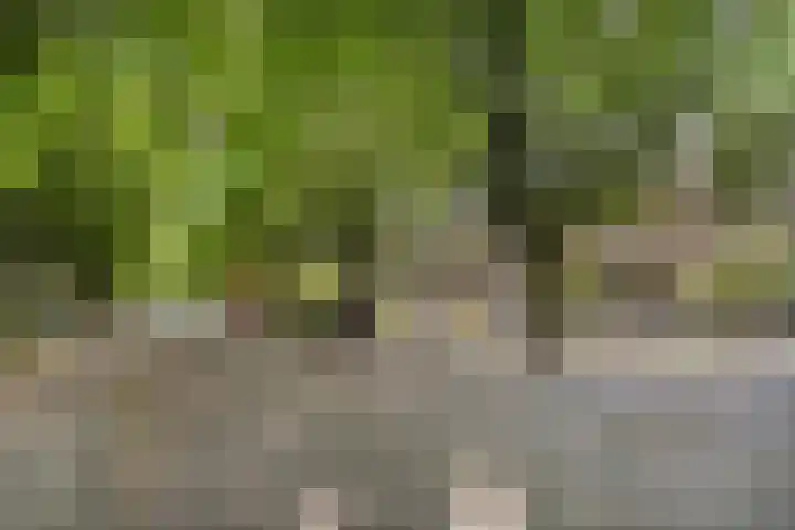 Botterlaan 12 Zaandam thumbnail 36