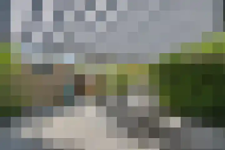 Botterlaan 12 Zaandam thumbnail 4