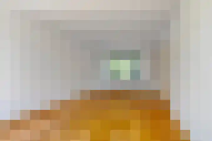 Botterlaan 12 Zaandam thumbnail 8