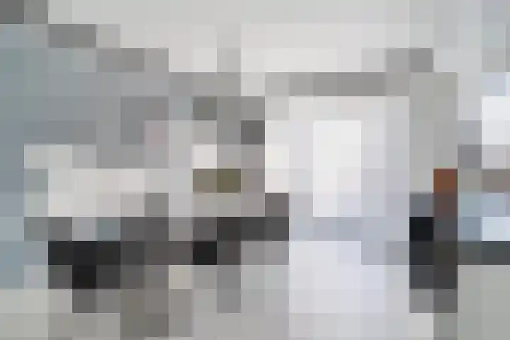 Botterlaan 14 Zaandam thumbnail 13