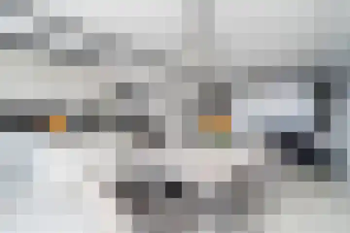 Botterlaan 14 Zaandam thumbnail 14