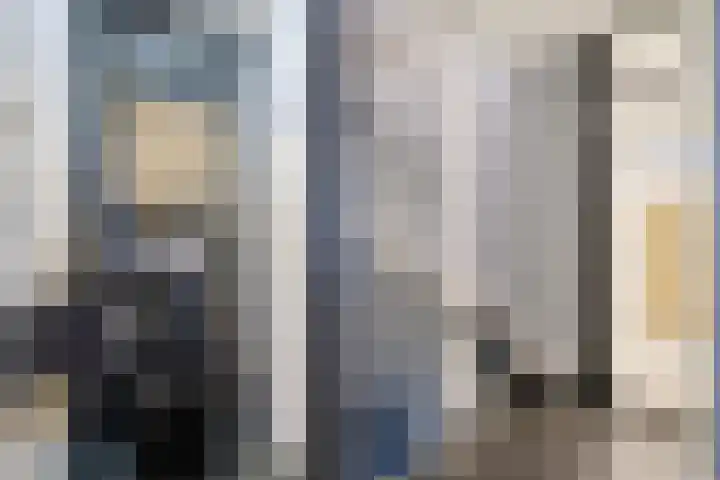 Botterlaan 14 Zaandam thumbnail 19