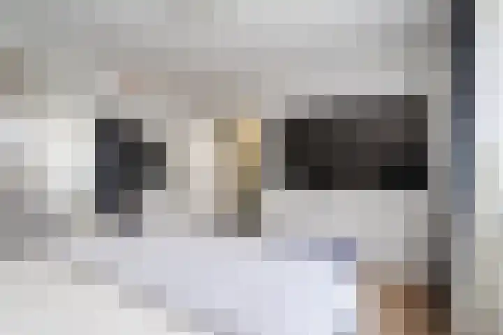 Botterlaan 14 Zaandam thumbnail 29