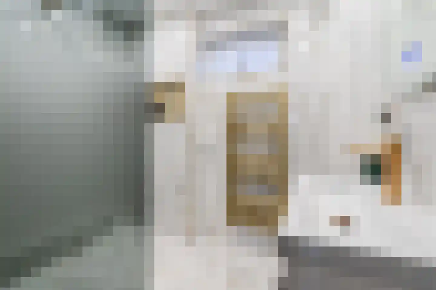 Botterlaan 14 Zaandam thumbnail 30