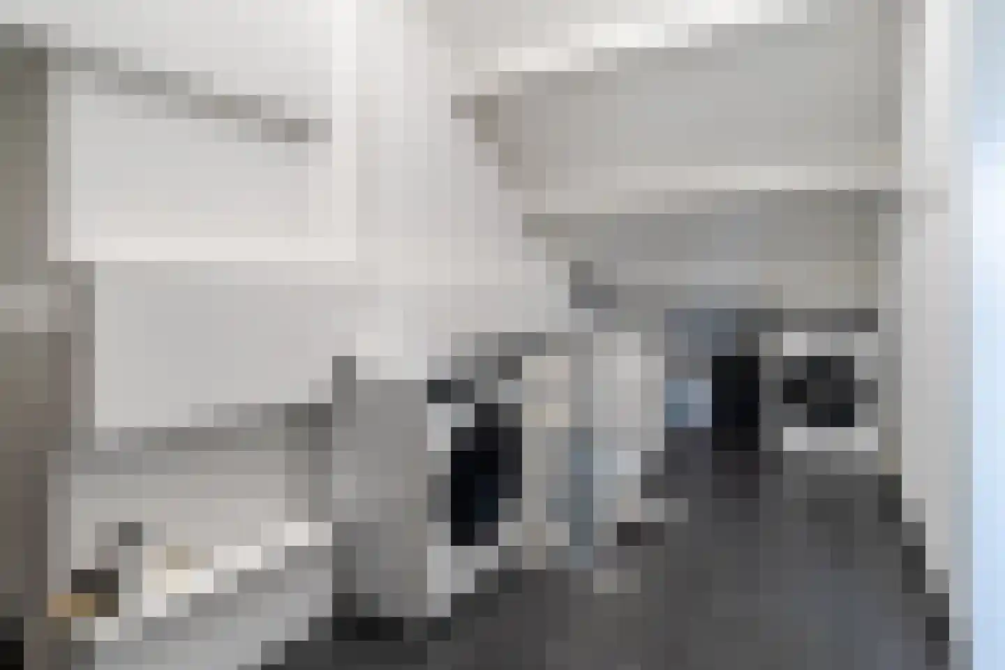 Botterlaan 14 Zaandam thumbnail 34