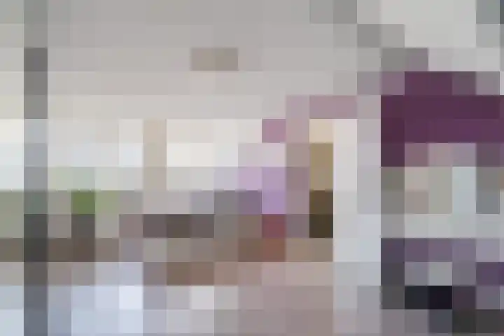 Botterlaan 14 Zaandam thumbnail 36