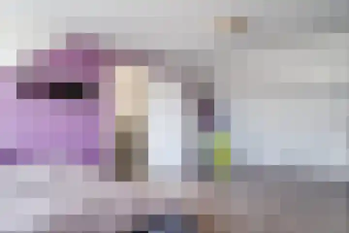Botterlaan 14 Zaandam thumbnail 38