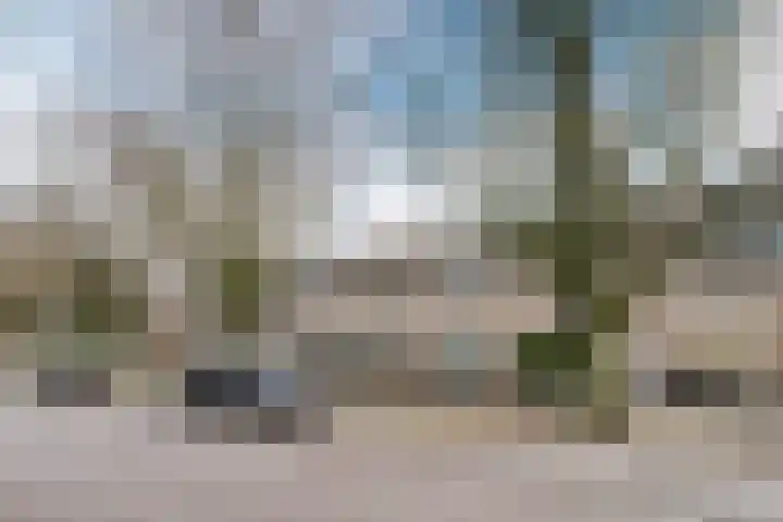 Botterlaan 14 Zaandam thumbnail 43