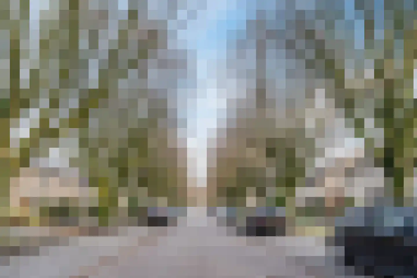 Botterlaan 14 Zaandam thumbnail 44