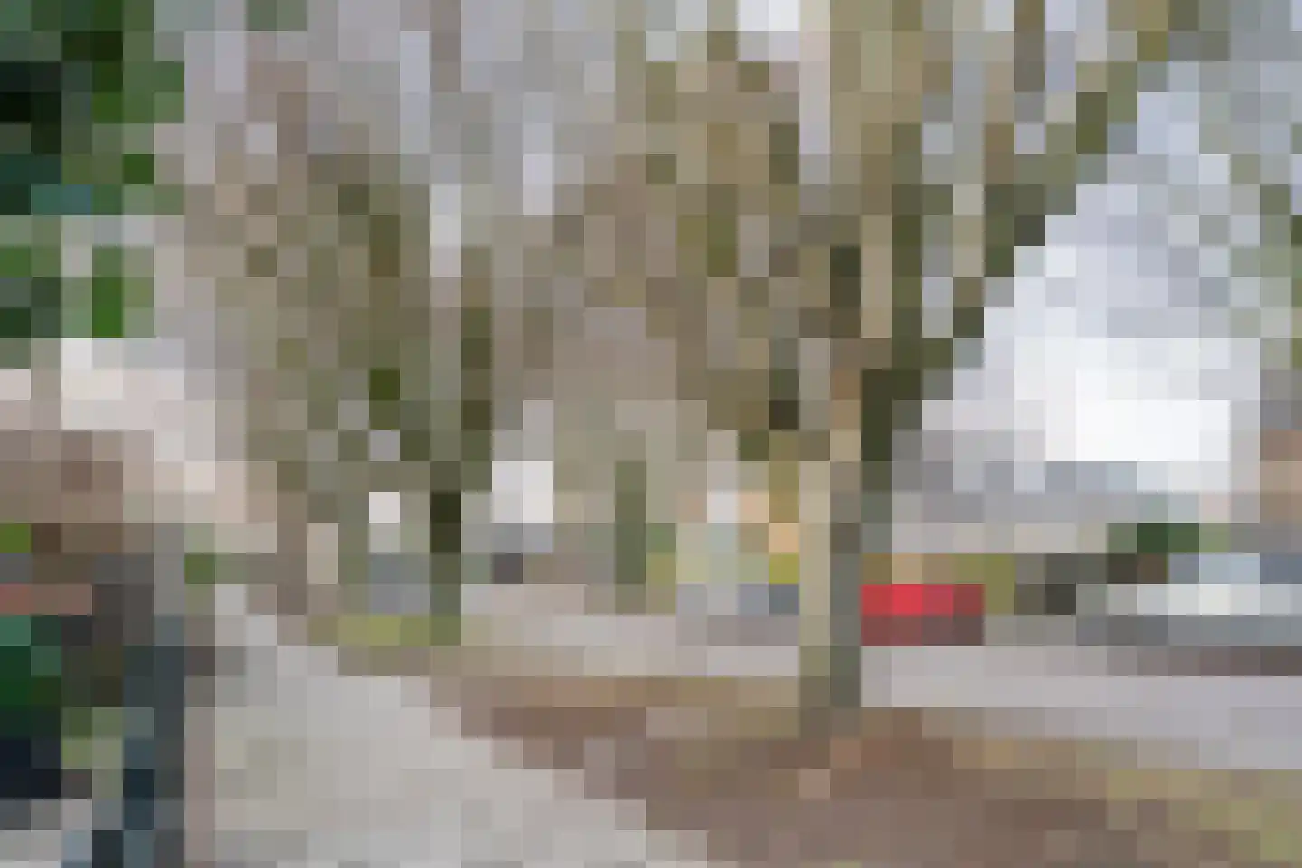 Botterlaan 14 Zaandam thumbnail 45
