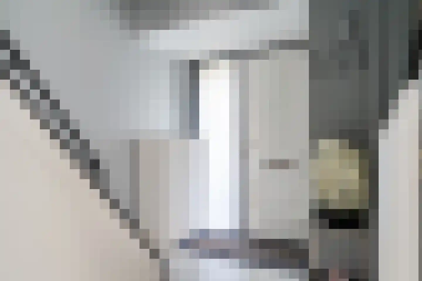 Botterlaan 14 Zaandam thumbnail 7