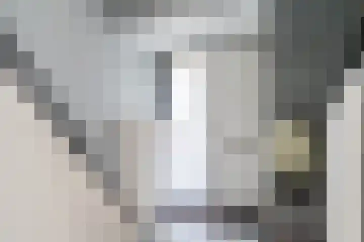 Botterlaan 14 Zaandam thumbnail 7