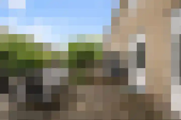 Botterlaan 21 Zaandam thumbnail 14