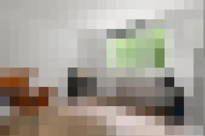 Botterlaan 21 Zaandam thumbnail 19