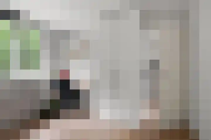 Botterlaan 21 Zaandam thumbnail 20