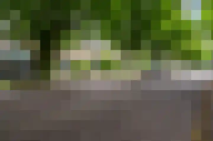 Botterlaan 21 Zaandam thumbnail 5