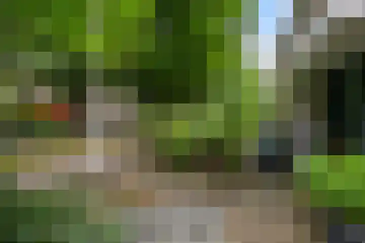 Botterlaan 21 Zaandam thumbnail 6