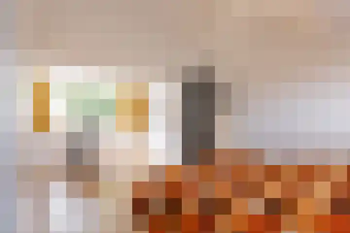 Botterlaan 33 Zaandam thumbnail 37