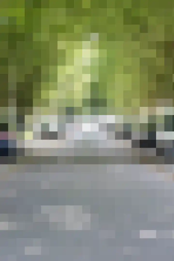 Botterlaan 33 Zaandam thumbnail 4