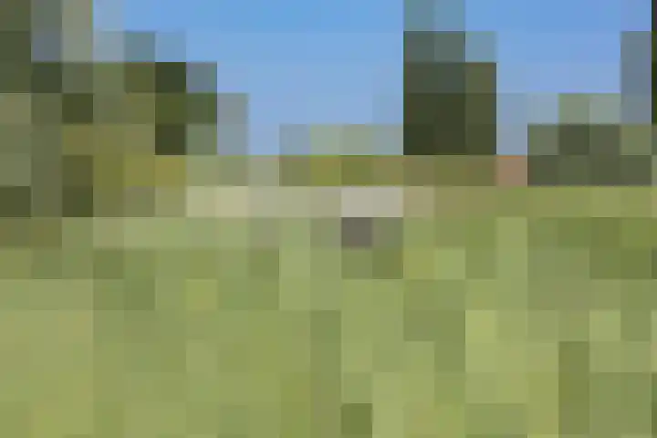 Botterlaan 33 Zaandam thumbnail 43