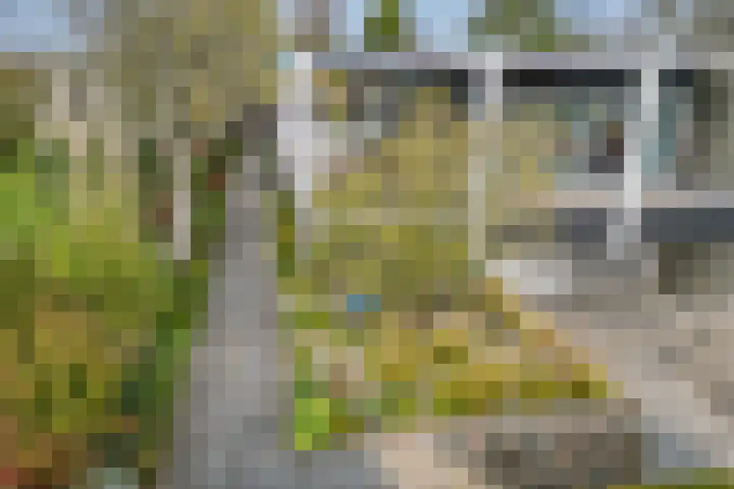 Botterlaan 35 Kortgene thumbnail 34
