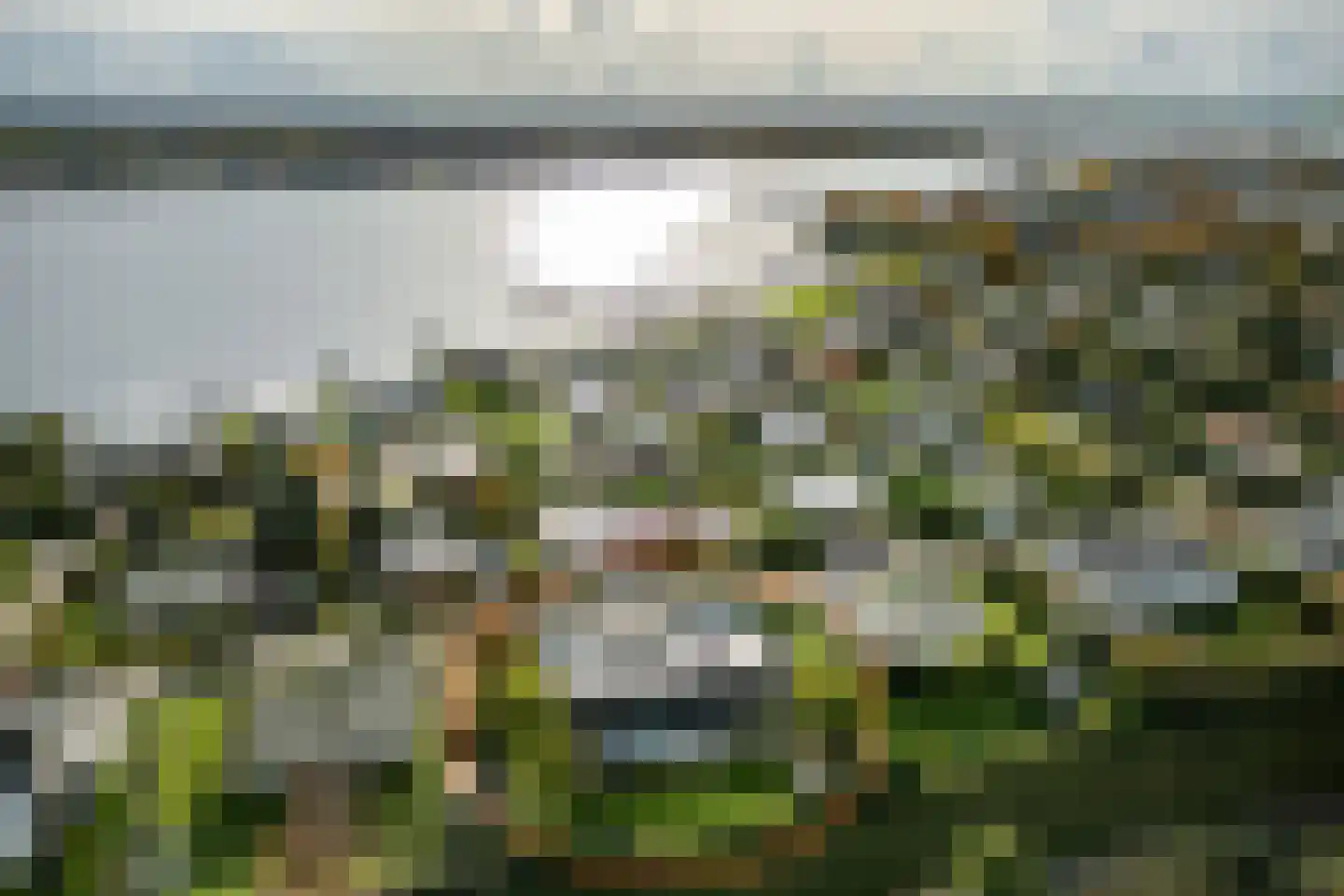 Botterlaan 35 Kortgene thumbnail 44