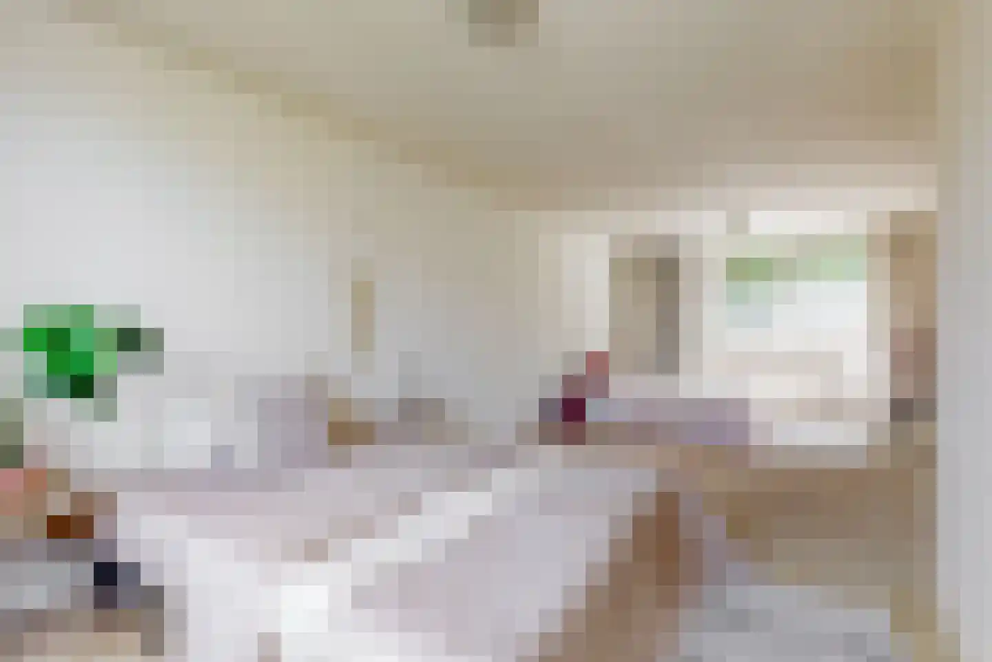 Botterlaan 43 Zaandam thumbnail 18