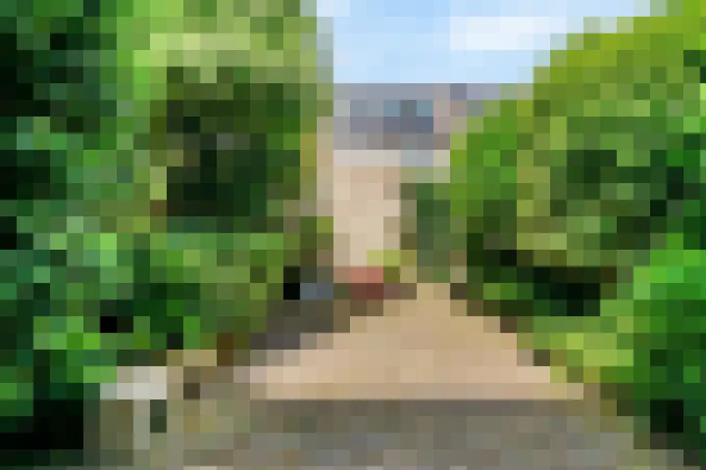 Botterlaan 43 Zaandam thumbnail 30