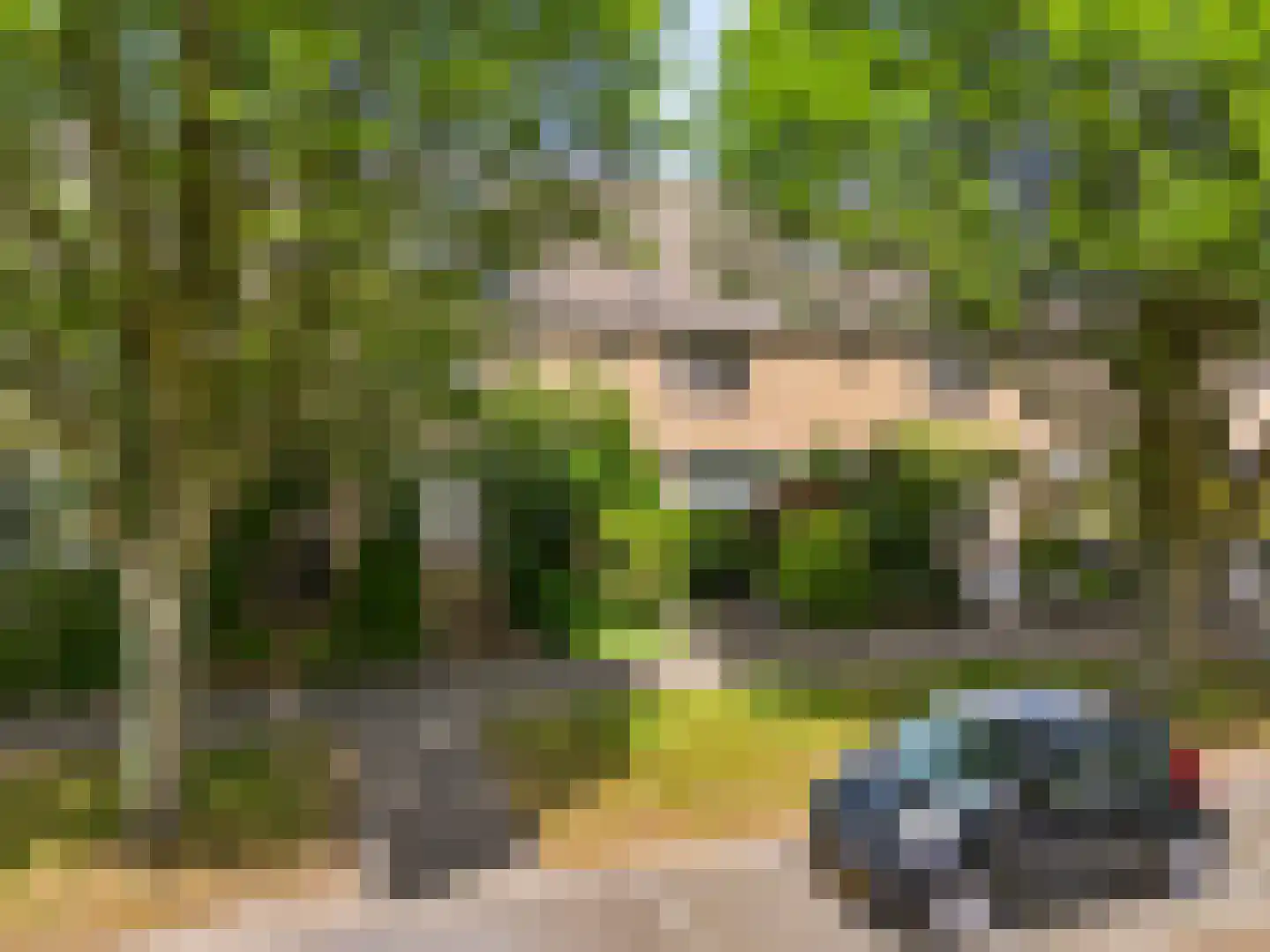 Botterlaan 43 Zaandam thumbnail 33