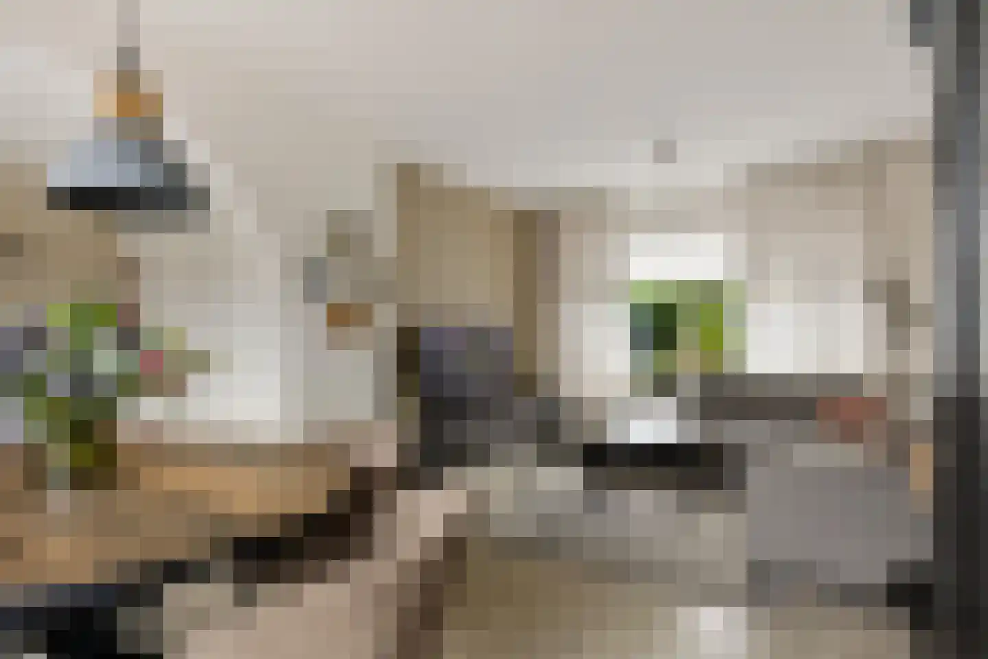 Botterlaan 6 Delfzijl thumbnail 24