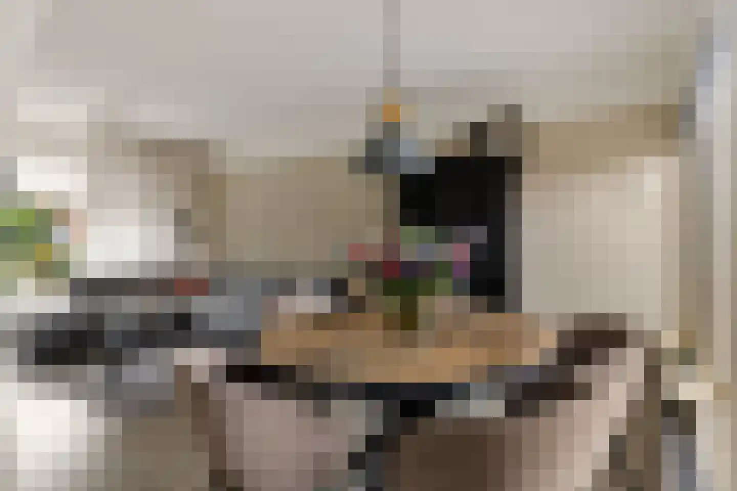 Botterlaan 6 Delfzijl thumbnail 30