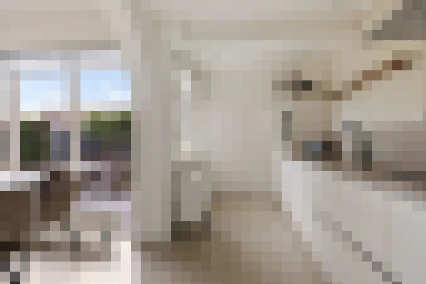 Botterlaan 6 Delfzijl thumbnail 31