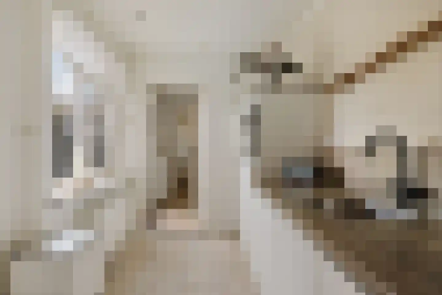 Botterlaan 6 Delfzijl thumbnail 33