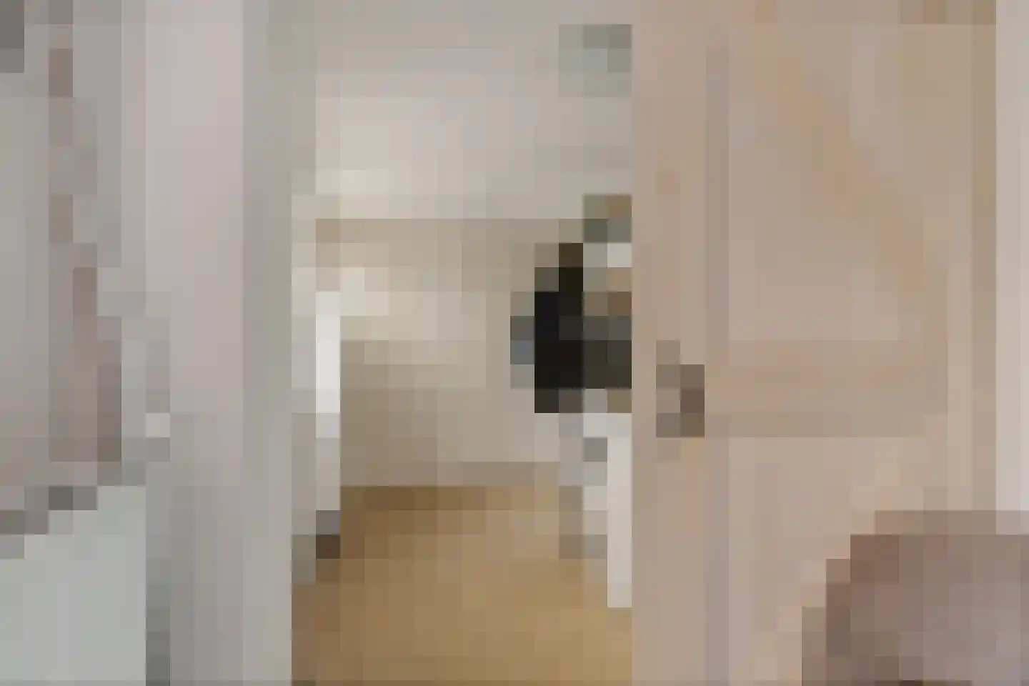 Botterlaan 6 Delfzijl thumbnail 34