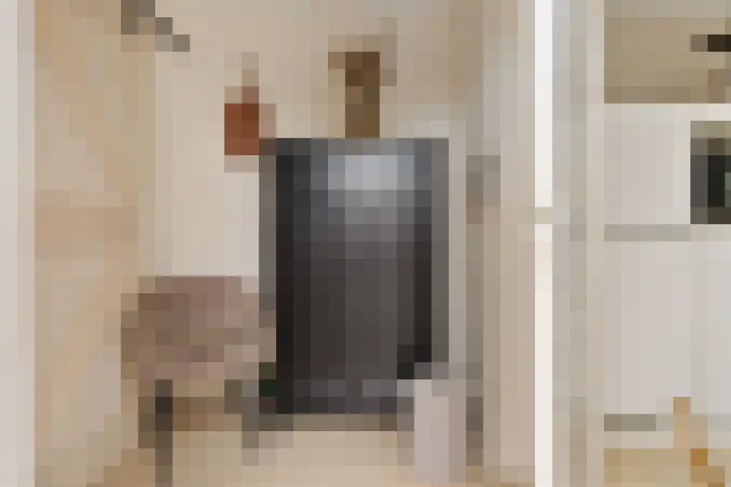 Botterlaan 6 Delfzijl thumbnail 36