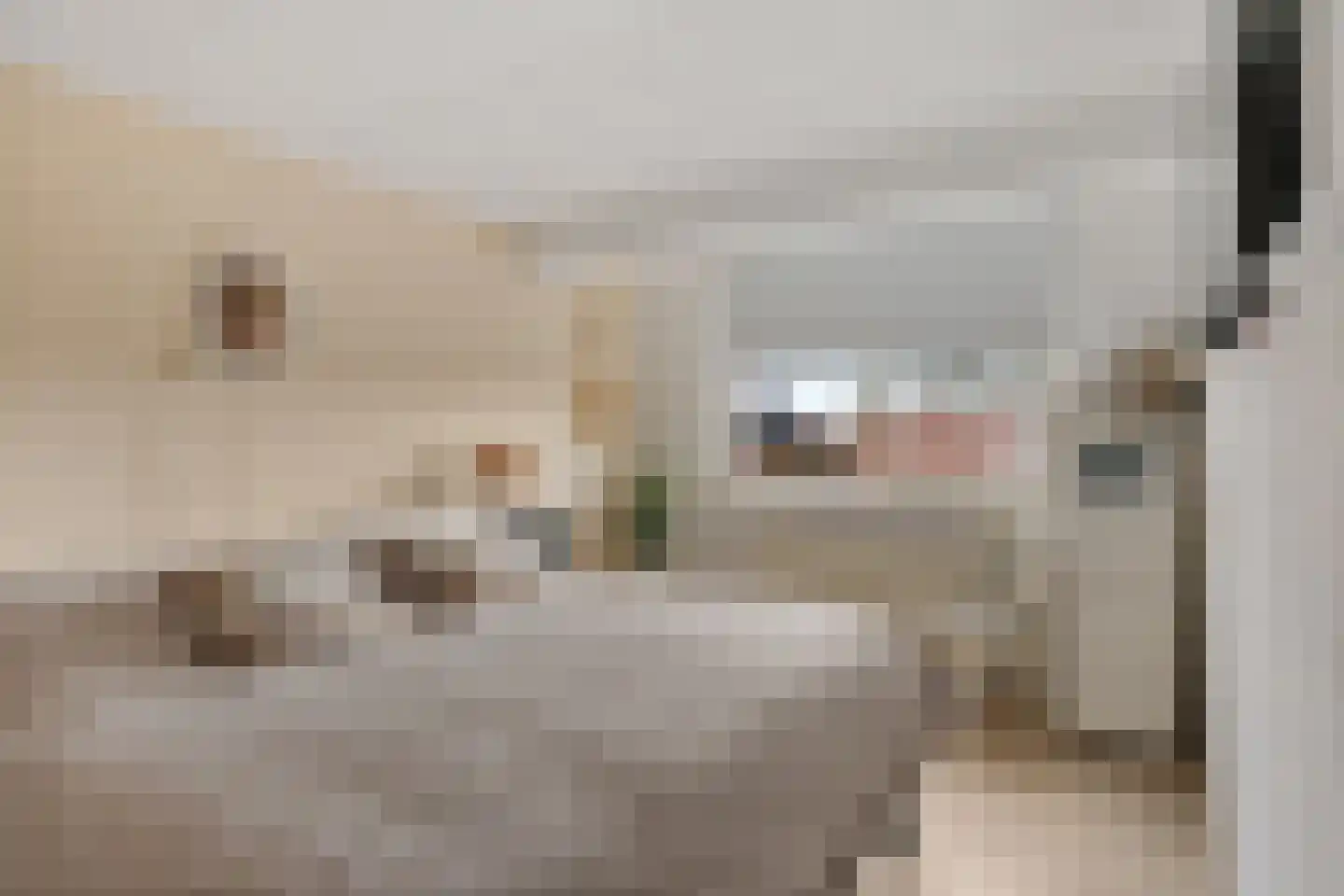 Botterlaan 6 Delfzijl thumbnail 41